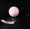 Automatic Smart Cat Toys Ball Interactive Catnip USB Rechargeable Self Rotating Colorful Led Feather Bells Toys for Cats Kitten Build-in Spinning Led Light Stimulate Hunting Instinct