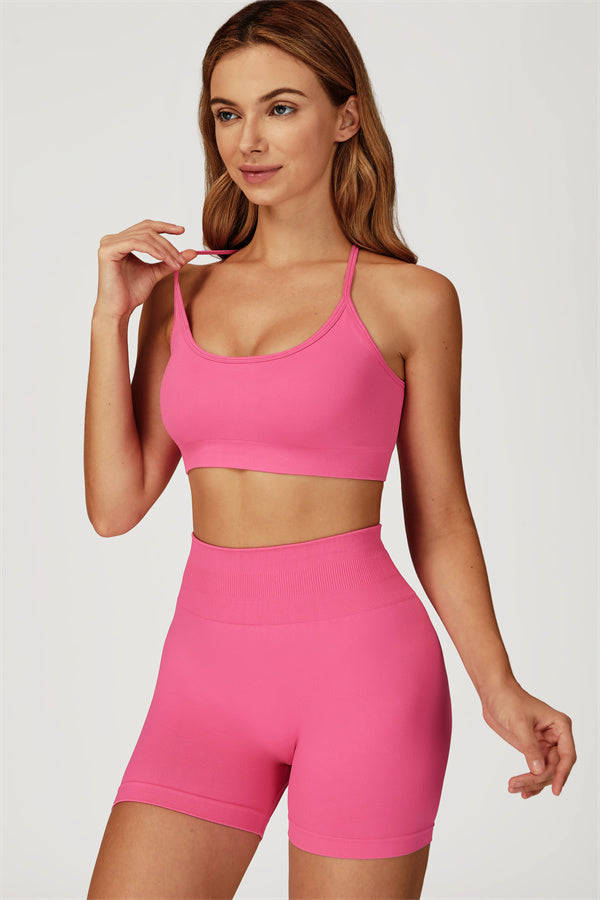 The Sculpt Sports Bra