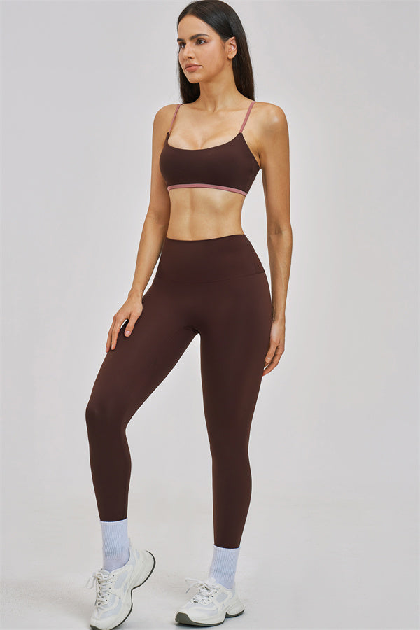 The New Seraphine Sports Bra