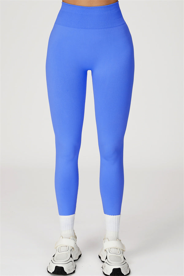 The Sculpt Crop Top Leggings 2-Piece Set