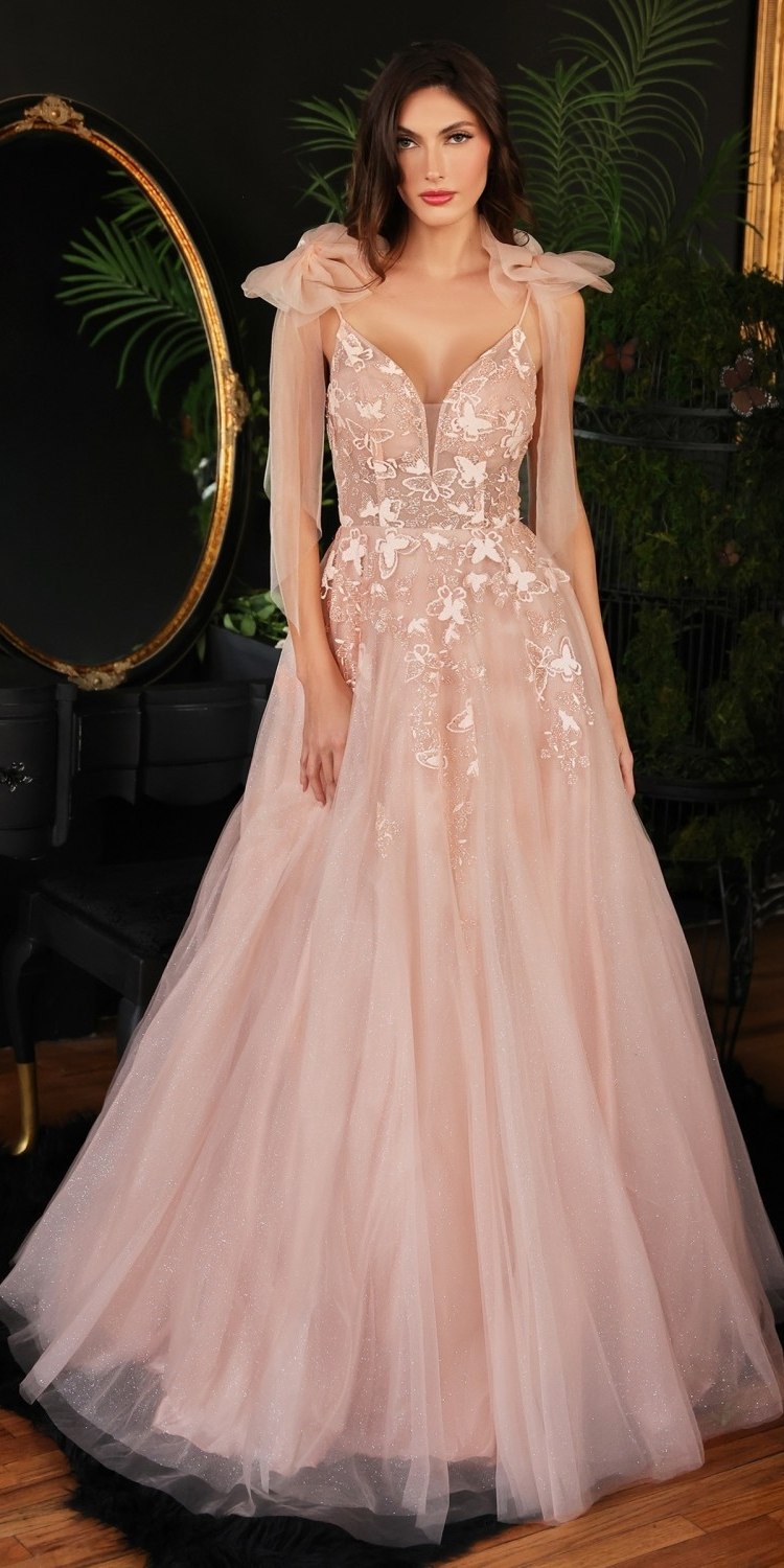 Ladivine CB097 Long A-Line Tulle Gown with Floral Detail