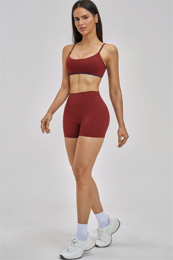 The New Seraphine Sports Bra