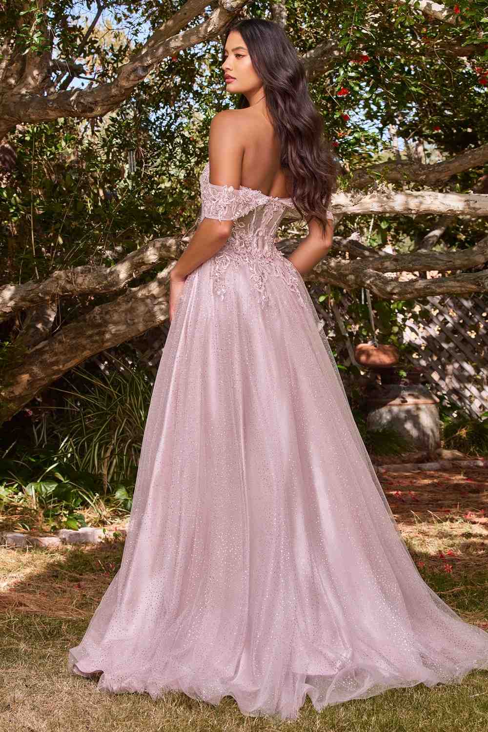 Cinderella Divine CD0198 Long Lace A-Line Gown with Off the Shoulder Sleeves