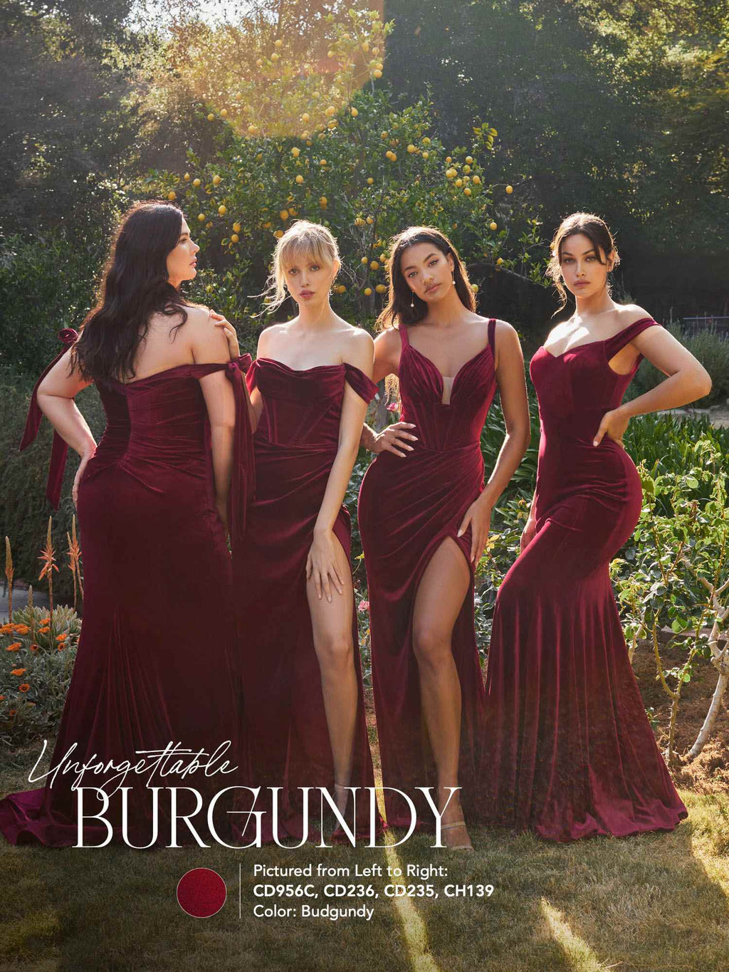 Cinderella Divine CD235 Long Velvet Gathered Fitted Dress