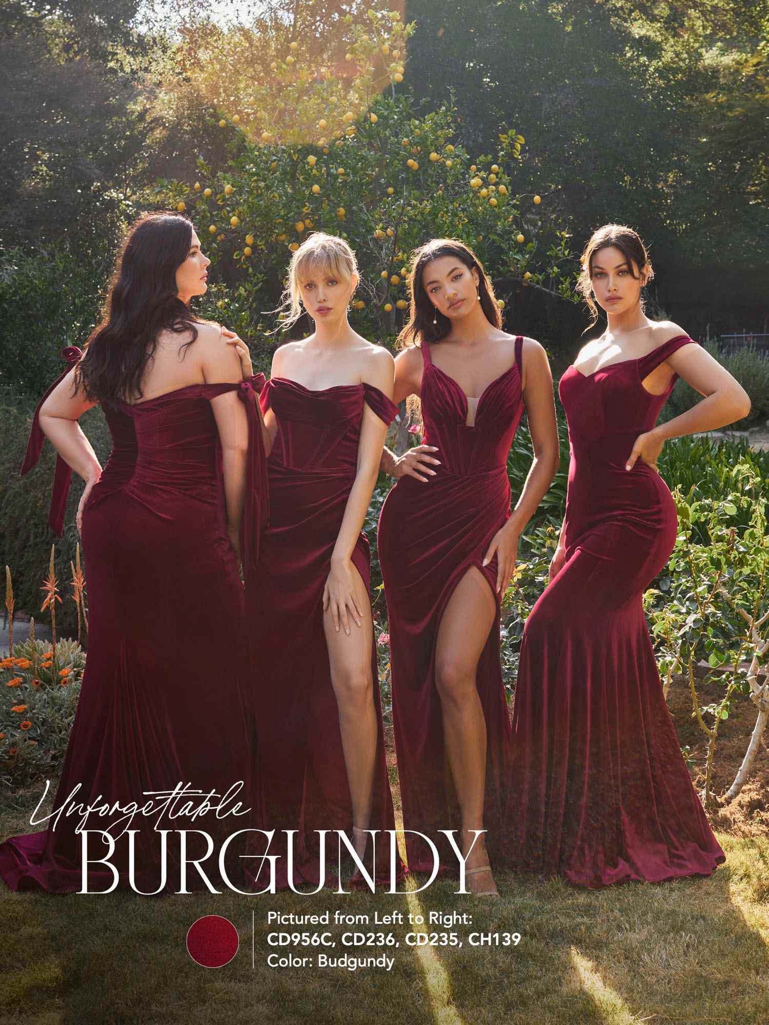 Cinderella Divine CD235 Long Velvet Gathered Fitted Dress