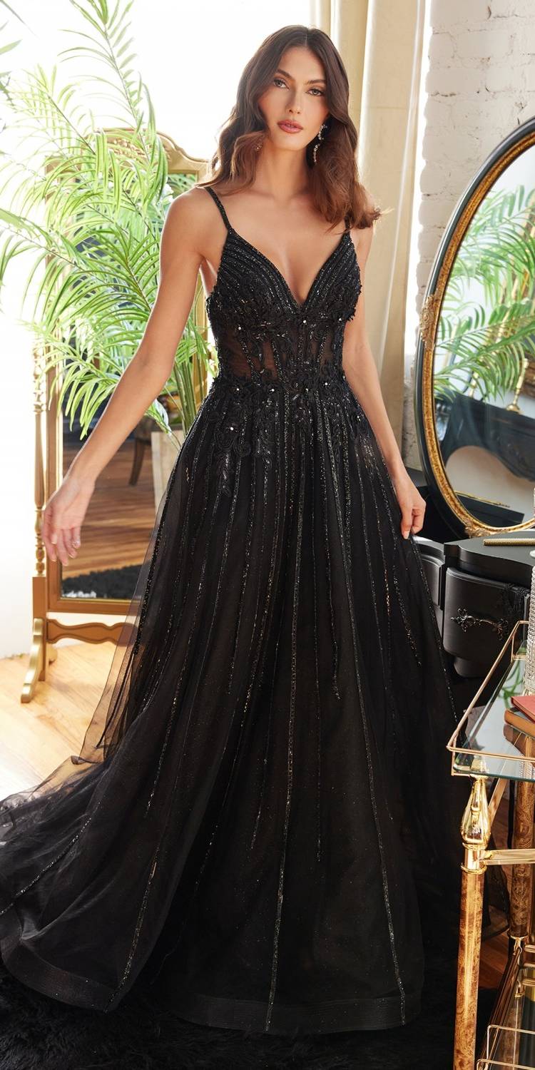 Cinderella Divine CD994 Long A-Line Beaded Tulle Gown Lace Detail V-Neck