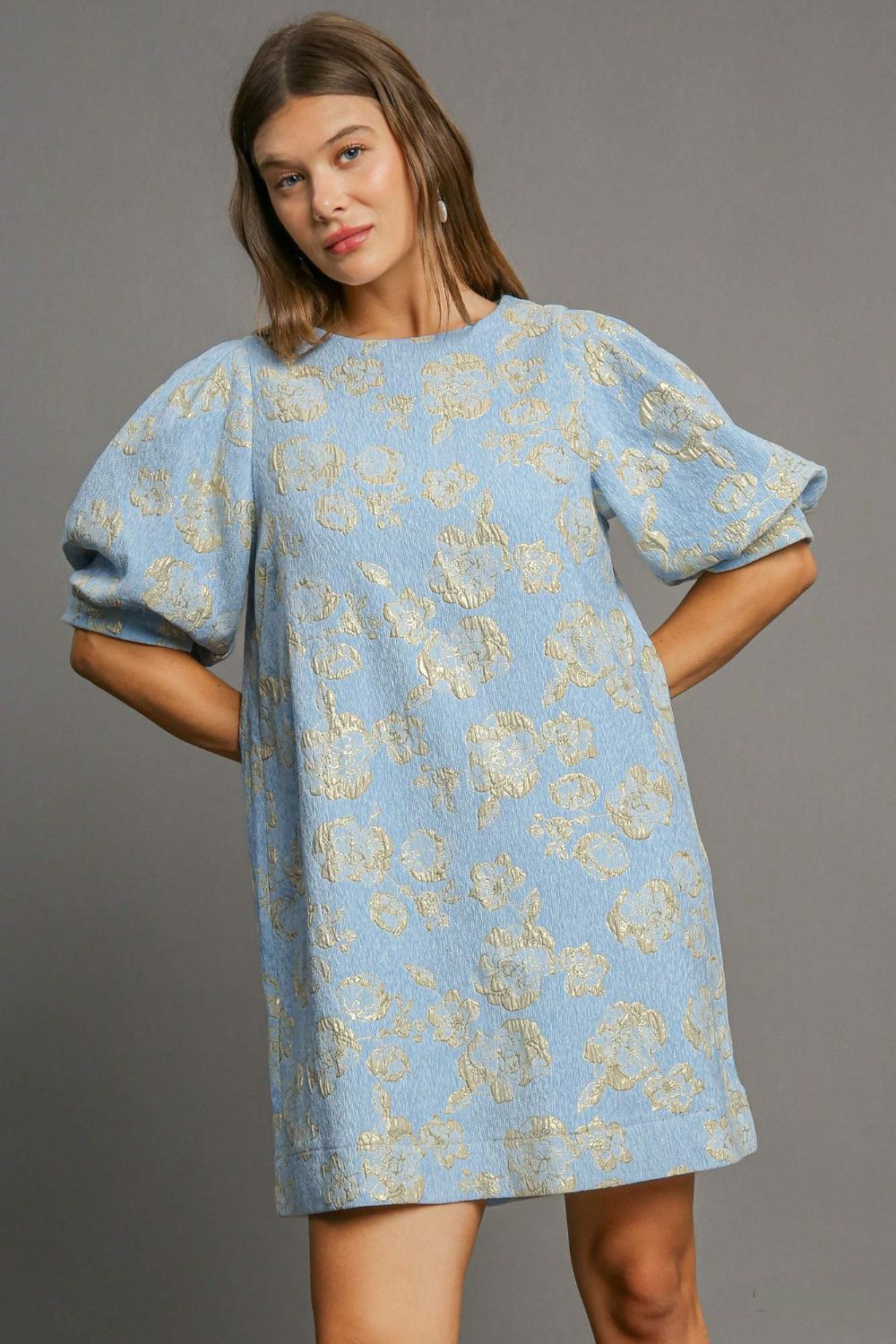 Floral Blue Jacquard Puff Sleeve Mini Dress Elegant Vintage-Inspired Dress for Women