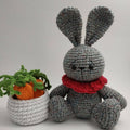 Easter Bunny Amigurumi Crochet Pattern