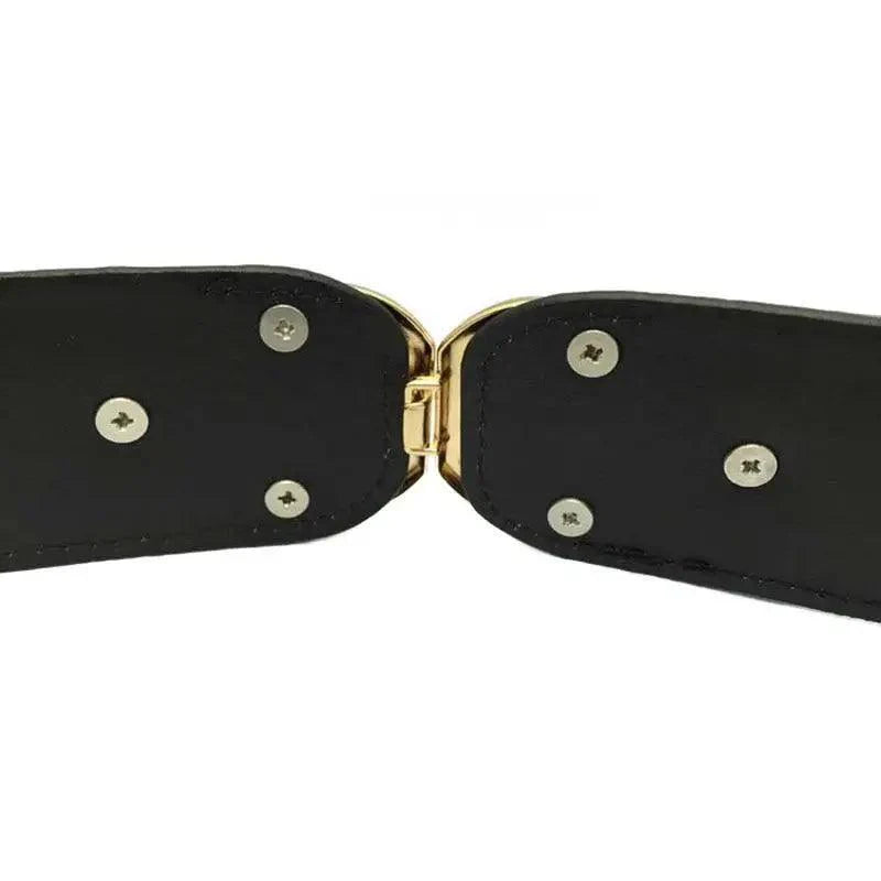 Elegant Wide Fabric Strap  Silver Metal Buckle Belts For Women Trendy Women's Fashion Stretchable Classic Color Belts