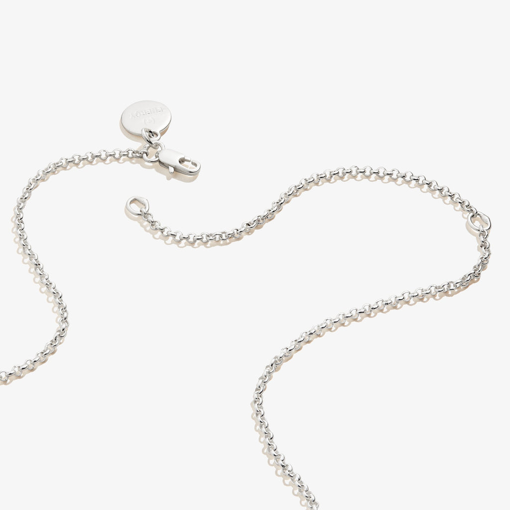 Small Circle Charm Necklace, 19''