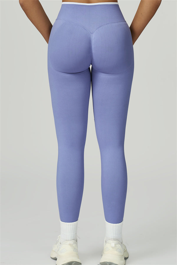 The Prime Line Crop Top Leggings 2-Piece Set