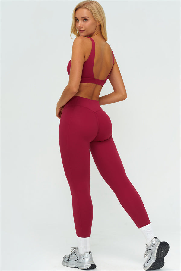 The Lushness V-Back Sports Bra Leggings 2-Piece Set