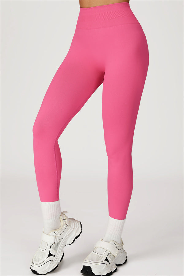 The Sculpt Crop Top Leggings 2-Piece Set