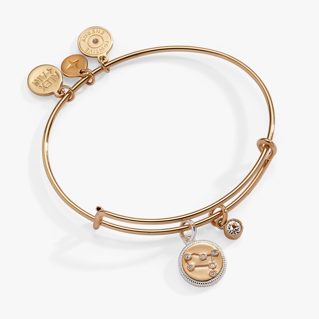 Gemini Zodiac Charm Bangle