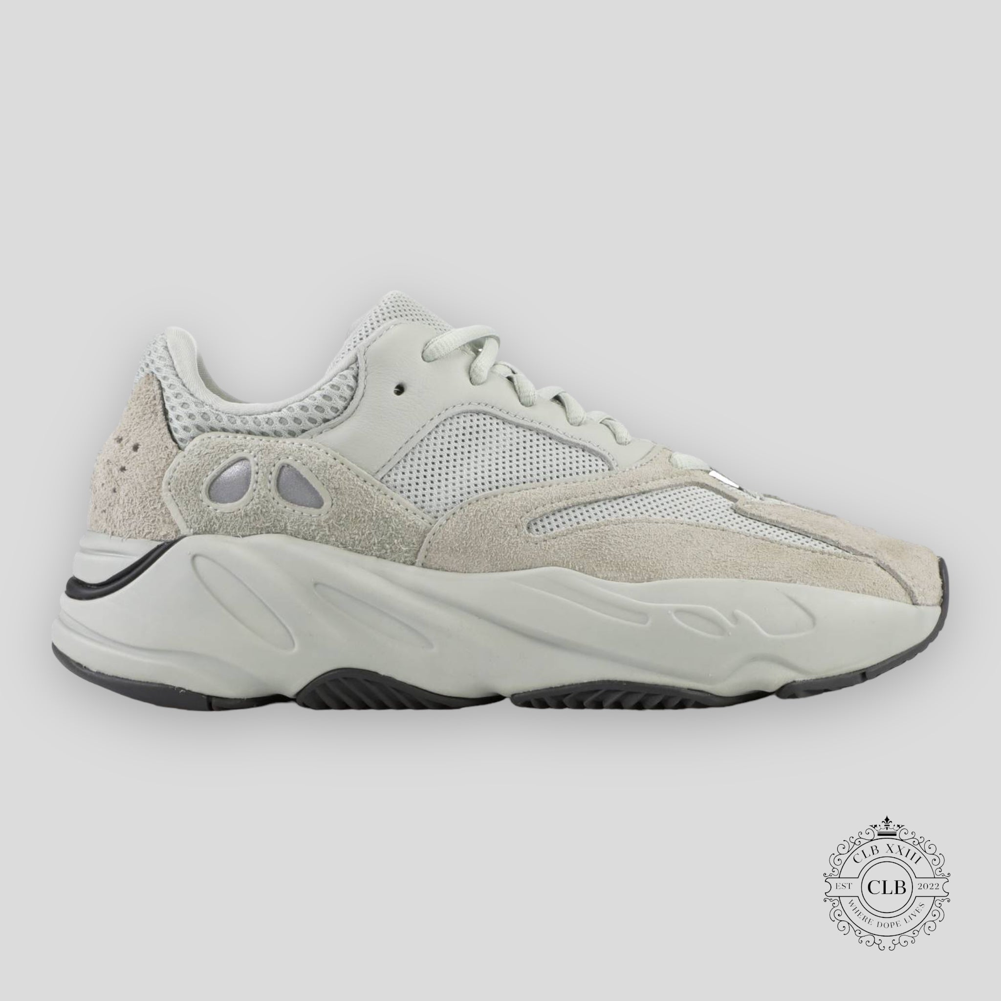 Adidas Yeezy Boost 700 in Salt