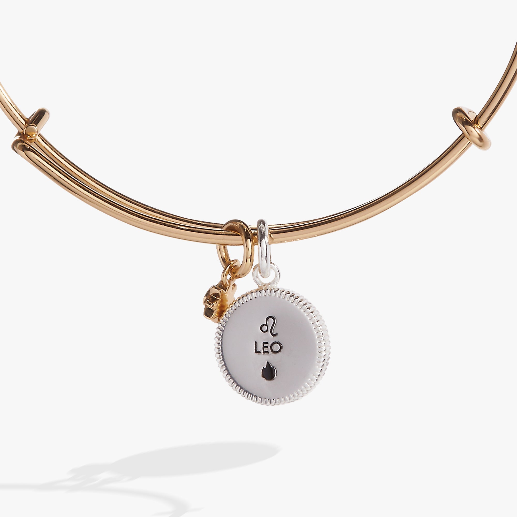 Leo Zodiac Charm Bangle
