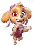 Licensed Skye Foil Balloon – 36" Paw Patrol Girl Decor | Ellie’s Party Supply
