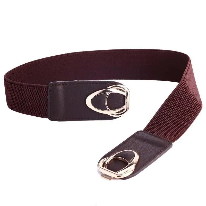 Luxury Elastic PU Leather Wide Belts For Women Fashion Stretchy Thick Waist Dress Plus Size Waistbands For Women