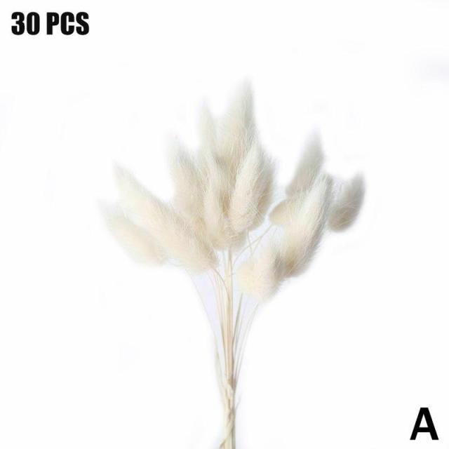 Real Dried Grass Reed Flower Natural Dry Small Bulrush Bouquet Pampas Reeds Home Decoration Wedding Decor Pompass Grass Branches for Vase Artificial Grass Room Décor Wedding Decorations