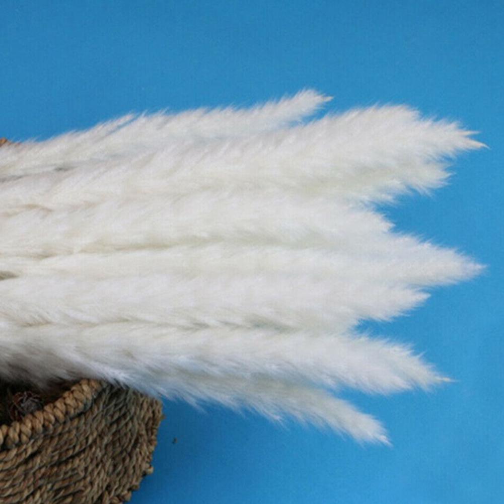 Real Dried Grass Reed Flower Natural Dry Small Bulrush Bouquet Pampas Reeds Home Decoration Wedding Decor Pompass Grass Branches for Vase Artificial Grass Room Décor Wedding Decorations
