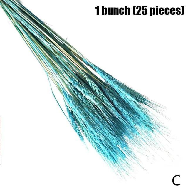 Real Dried Grass Reed Flower Natural Dry Small Bulrush Bouquet Pampas Reeds Home Decoration Wedding Decor Pompass Grass Branches for Vase Artificial Grass Room Décor Wedding Decorations