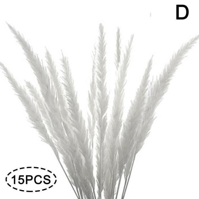 Real Dried Grass Reed Flower Natural Dry Small Bulrush Bouquet Pampas Reeds Home Decoration Wedding Decor Pompass Grass Branches for Vase Artificial Grass Room Décor Wedding Decorations