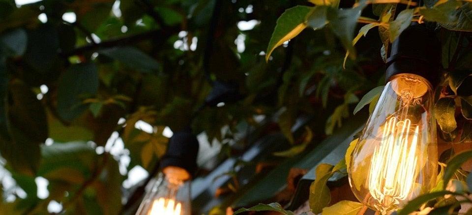 Retro Edison Light Bulb Vintage Edison Lamp Vintage Incandescent  Edison Light Bulbs Edison Filament Light Bulb Dimmable Warm White Different Shape Light