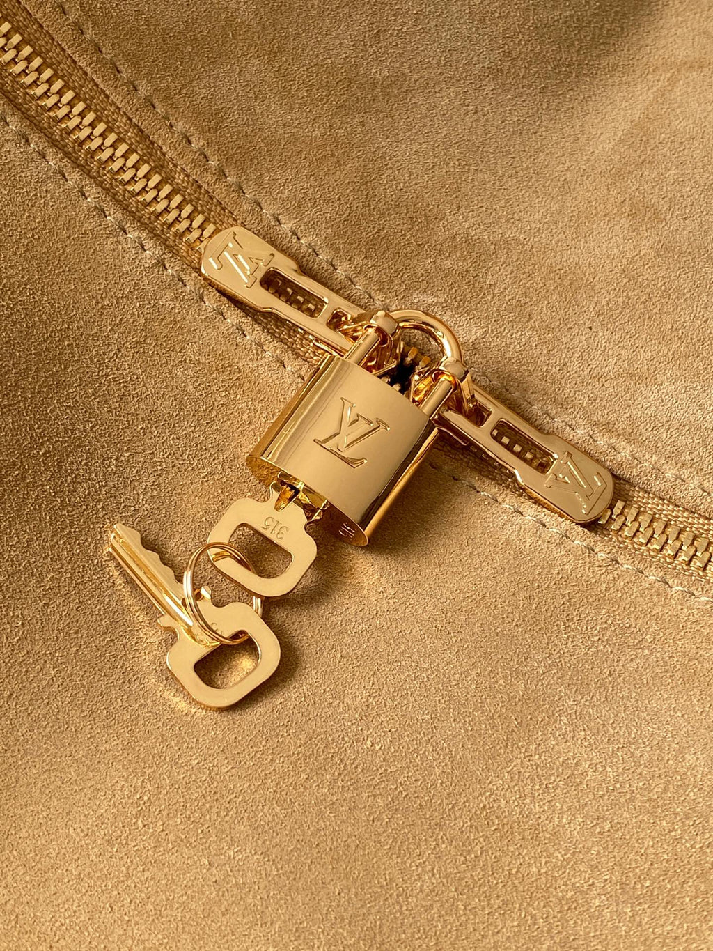 LV Travel Tote Bag