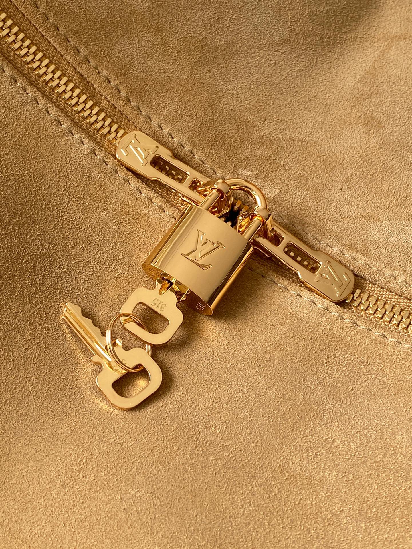 LV Travel Tote Bag
