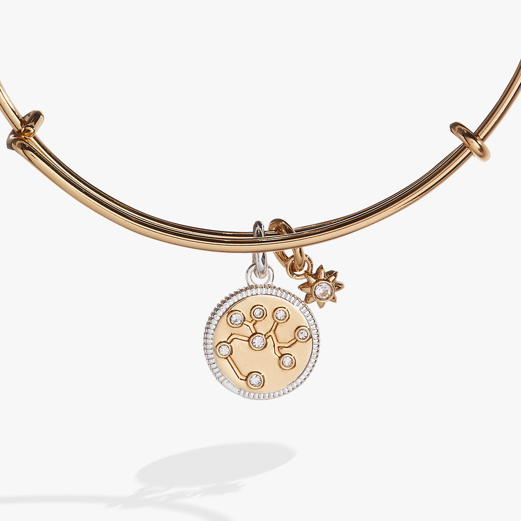 Sagittarius Zodiac Charm Bangle