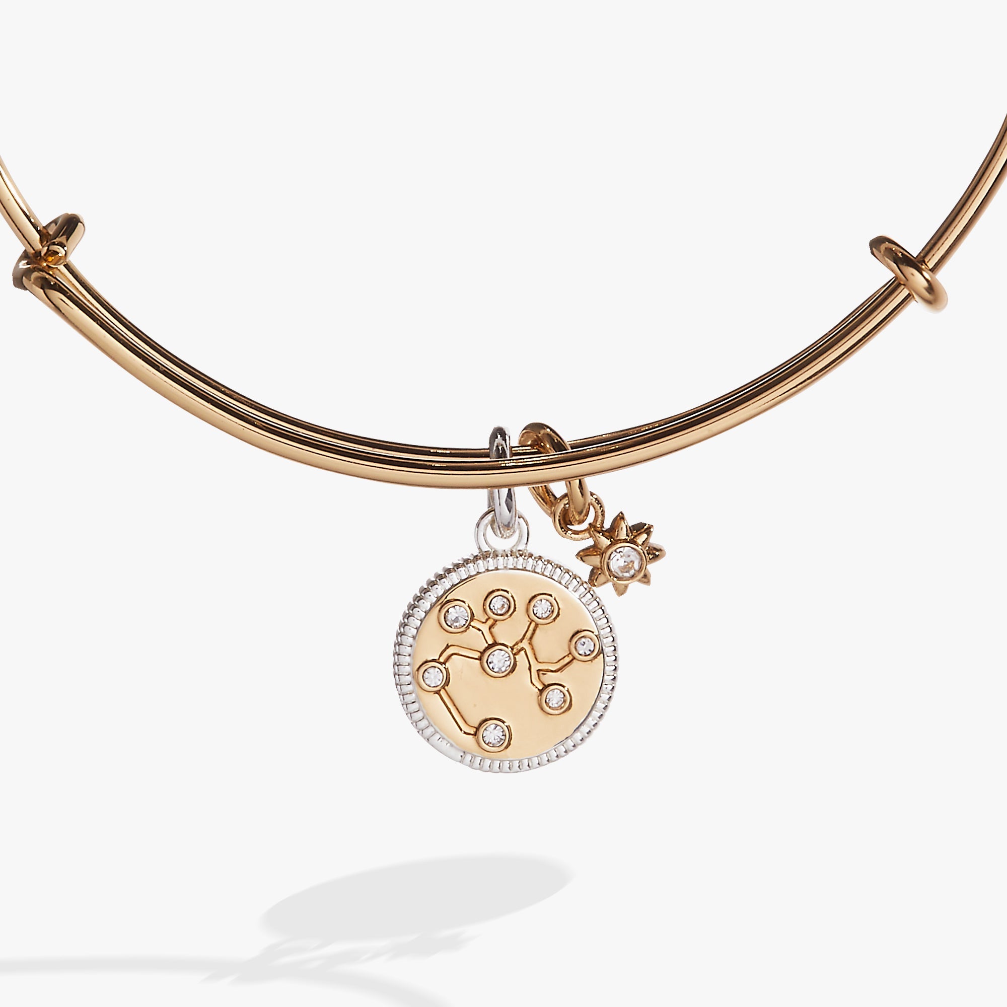 Sagittarius Zodiac Charm Bangle