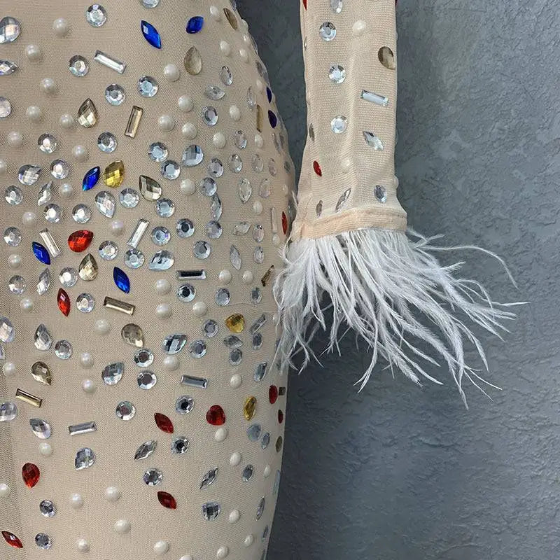 Silver Feathered Rhinestone Mesh Stretch Slim Dress