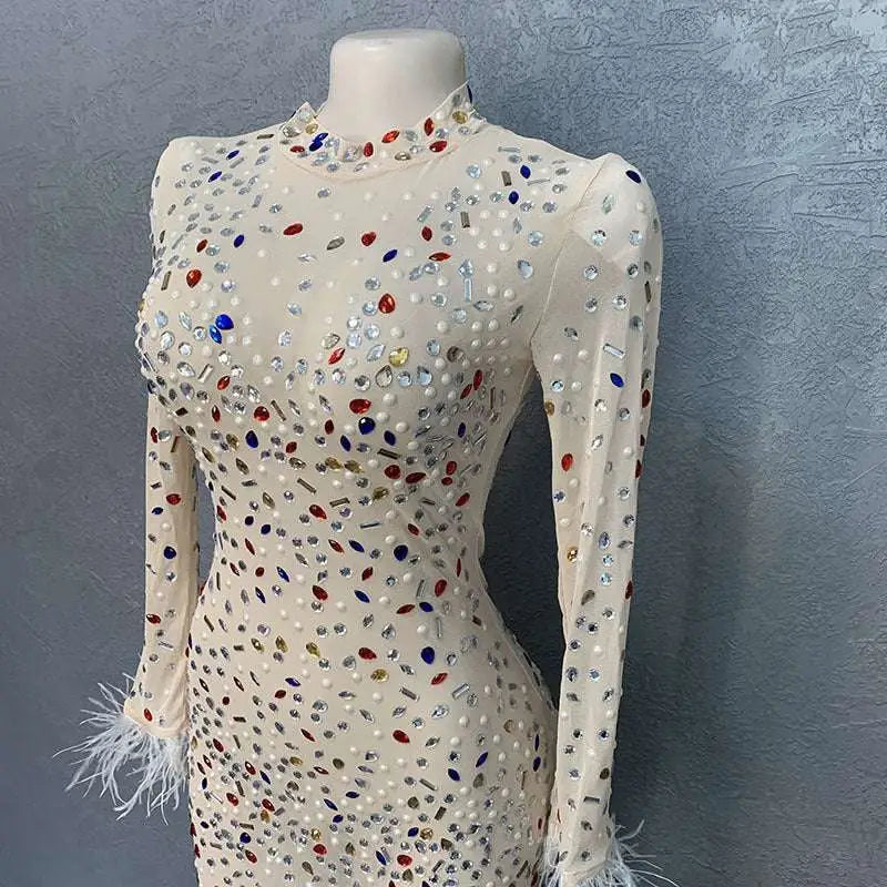 Silver Feathered Rhinestone Mesh Stretch Slim Dress