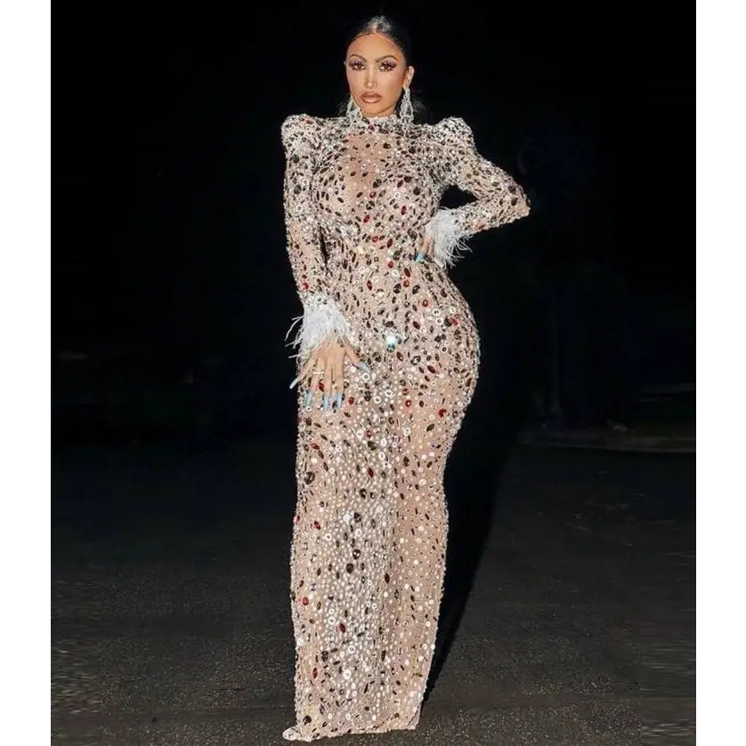 Silver Feathered Rhinestone Mesh Stretch Slim Dress